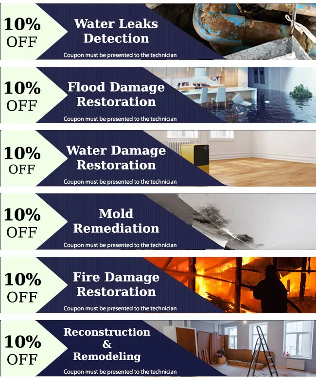 Hialeah Restoration Expert Hialeah, FL 786-377-6270 Hialeah Restoration Expert Hialeah, FL 786-377-6270