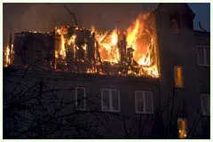 Hialeah Restoration Expert Hialeah, FL 786-377-6270 Hialeah Restoration Expert Hialeah, FL 786-377-6270