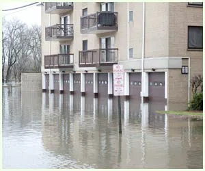 Hialeah Restoration Expert Hialeah, FL 786-377-6270 Hialeah Restoration Expert Hialeah, FL 786-377-6270