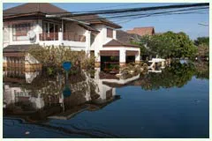 Hialeah Restoration Expert Hialeah, FL 786-377-6270