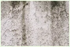 Hialeah Restoration Expert Hialeah, FL 786-377-6270