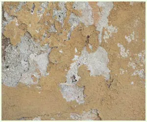 Hialeah Restoration Expert Hialeah, FL 786-377-6270